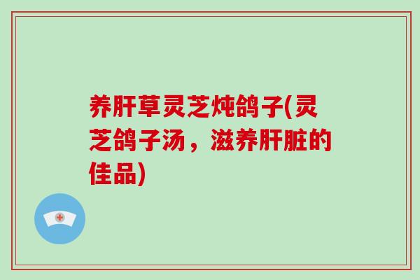 养肝草灵芝炖鸽子(灵芝鸽子汤，滋养肝脏的佳品)