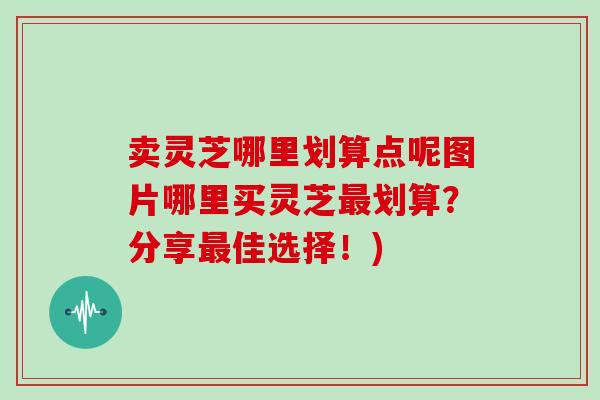 卖灵芝哪里划算点呢图片哪里买灵芝最划算？分享最佳选择！)