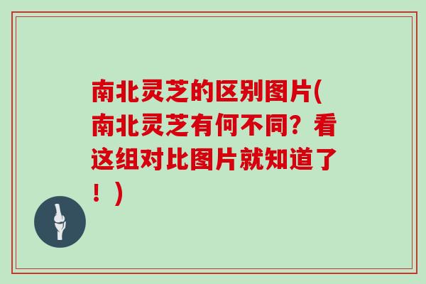 南北灵芝的区别图片(南北灵芝有何不同？看这组对比图片就知道了！)