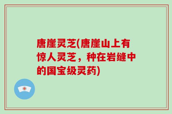 唐崖灵芝(唐崖山上有惊人灵芝，种在岩缝中的国宝级灵药)
