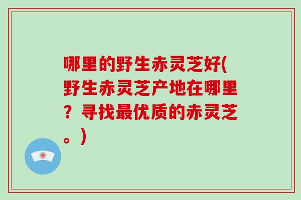 哪里的野生赤灵芝好(野生赤灵芝产地在哪里？寻找最优质的赤灵芝。)