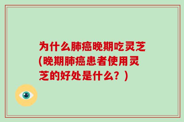 为什么肺癌晚期吃灵芝(晚期肺癌患者使用灵芝的好处是什么?)-第1张图片-灵芝大师 为什么肺癌晚期吃灵芝(晚期肺癌患者使用灵芝的好处是什么?)-第1张图片-灵芝大师