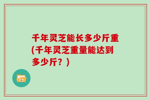 千年灵芝能长多少斤重(千年灵芝重量能达到多少斤？)