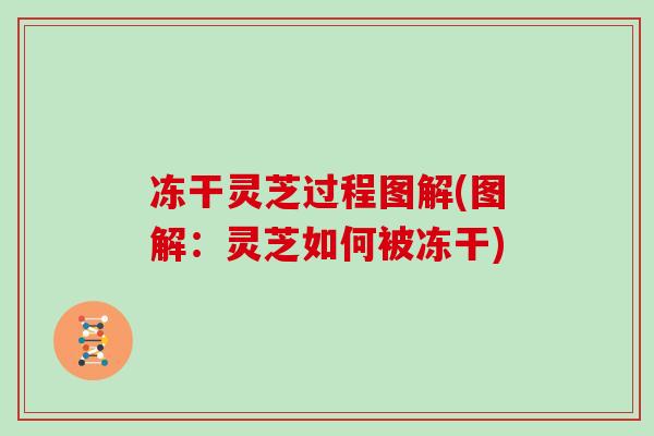 冻干灵芝过程图解(图解：灵芝如何被冻干)