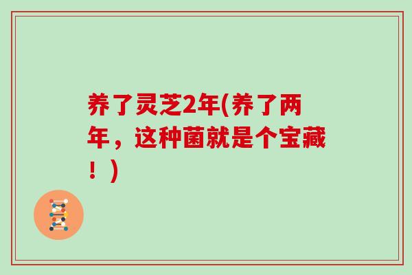 养了灵芝2年(养了两年，这种菌就是个宝藏！)