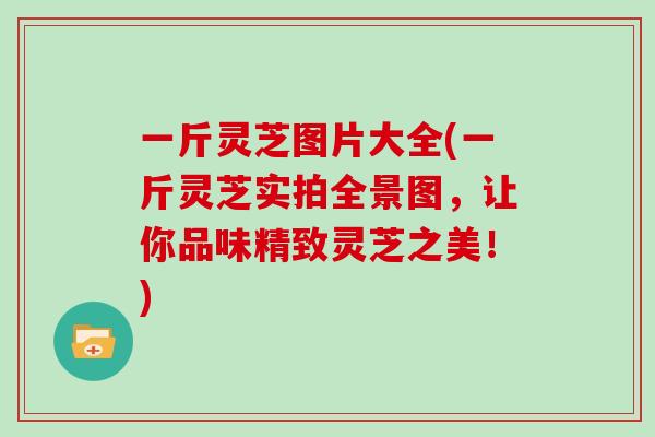 一斤灵芝图片大全(一斤灵芝实拍全景图，让你品味精致灵芝之美！)