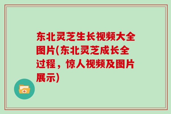 东北灵芝生长视频大全图片(东北灵芝成长全过程，惊人视频及图片展示)