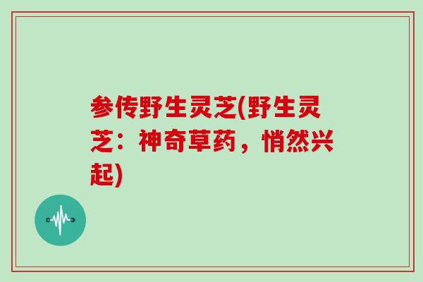 参传野生灵芝(野生灵芝：神奇草药，悄然兴起)