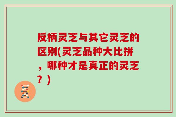 反柄灵芝与其它灵芝的区别(灵芝品种大比拼，哪种才是真正的灵芝？)