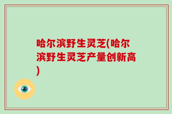 哈尔滨野生灵芝(哈尔滨野生灵芝产量创新高)