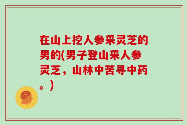 在山上挖人参采灵芝的男的(男子登山采人参灵芝,山林中苦寻中药。)-第1张图片-灵芝大师 在山上挖人参采灵芝的男的(男子登山采人参灵芝,山林中苦寻中药。)-第1张图片-灵芝大师
