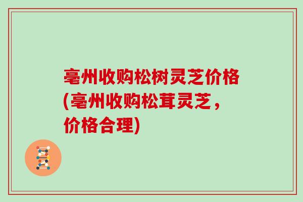 亳州收购松树灵芝价格(亳州收购松茸灵芝，价格合理)