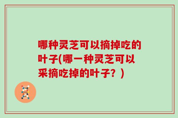 哪种灵芝可以摘掉吃的叶子(哪一种灵芝可以采摘吃掉的叶子？)