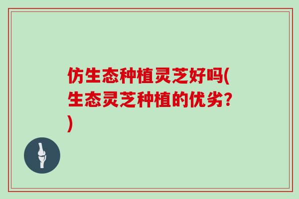 仿生态种植灵芝好吗(生态灵芝种植的优劣？)