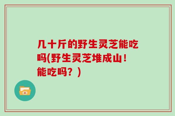 几十斤的野生灵芝能吃吗(野生灵芝堆成山！能吃吗？)