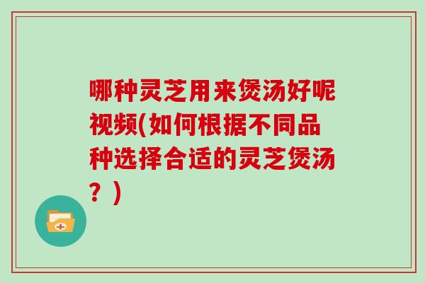 哪种灵芝用来煲汤好呢视频(如何根据不同品种选择合适的灵芝煲汤？)
