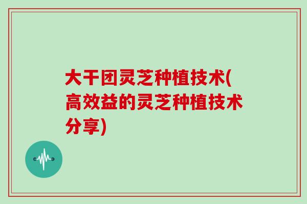 大干团灵芝种植技术(高效益的灵芝种植技术分享)