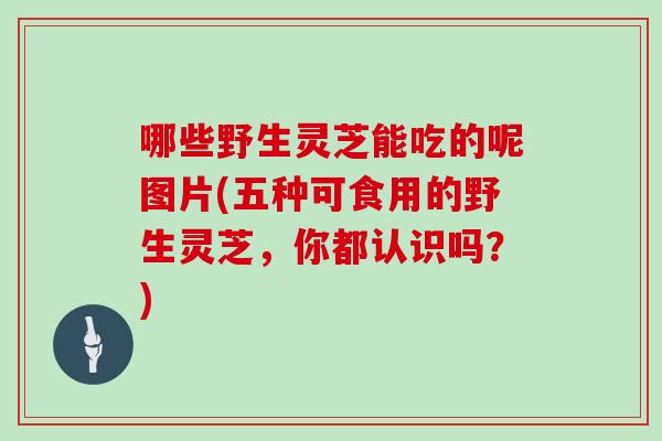 哪些野生灵芝能吃的呢图片(五种可食用的野生灵芝，你都认识吗？)