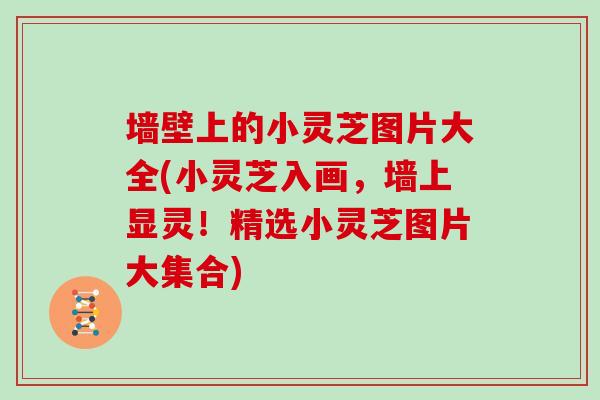 墙壁上的小灵芝图片大全(小灵芝入画，墙上显灵！精选小灵芝图片大集合)