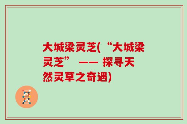 大城梁灵芝(“大城梁灵芝” —— 探寻天然灵草之奇遇)