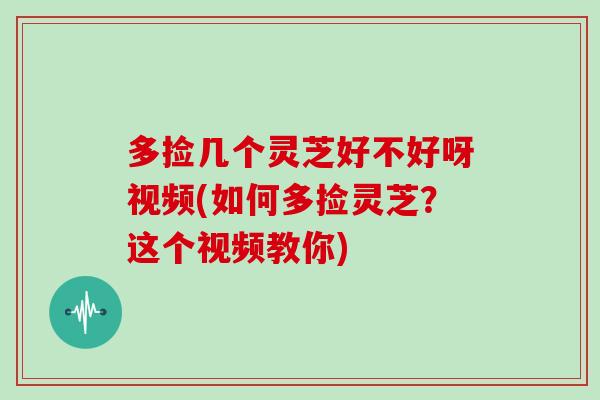 多捡几个灵芝好不好呀视频(如何多捡灵芝?这个视频教你)-第1张图片-灵芝大师 多捡几个灵芝好不好呀视频(如何多捡灵芝?这个视频教你)-第1张图片-灵芝大师