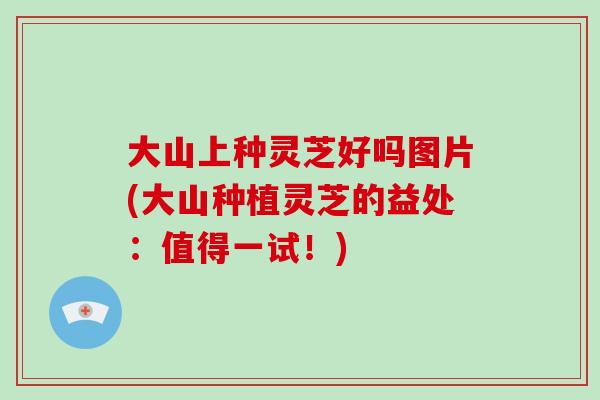 大山上种灵芝好吗图片(大山种植灵芝的益处：值得一试！)