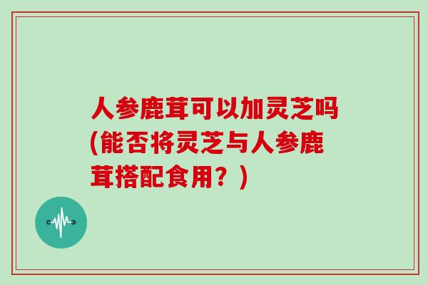 人参鹿茸可以加灵芝吗(能否将灵芝与人参鹿茸搭配食用？)