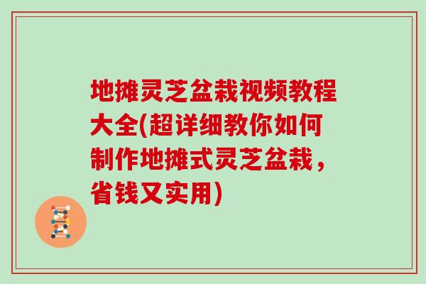 地摊灵芝盆栽视频教程大全(超详细教你如何制作地摊式灵芝盆栽，省钱又实用)