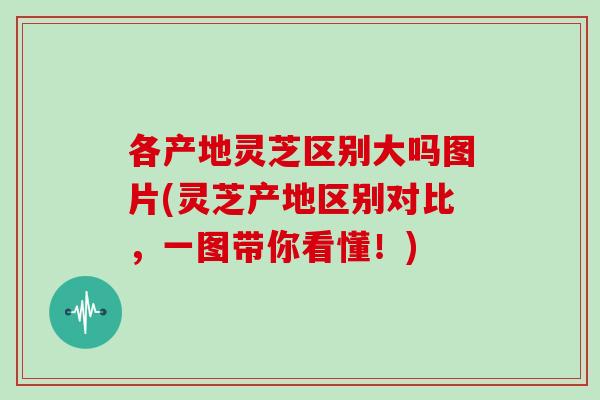 各产地灵芝区别大吗图片(灵芝产地区别对比，一图带你看懂！)