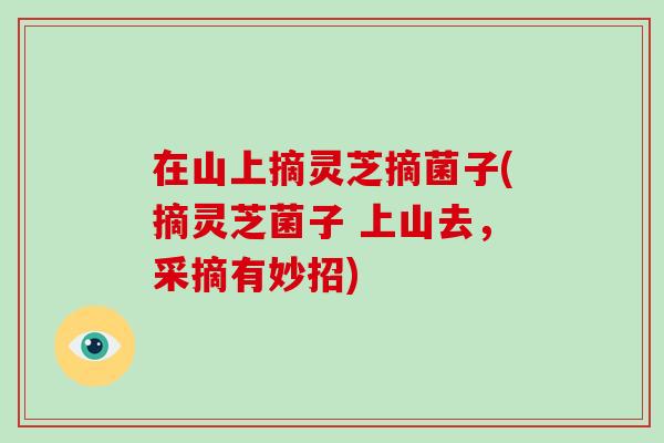 在山上摘灵芝摘菌子(摘灵芝菌子 上山去，采摘有妙招)