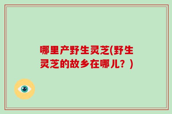 哪里产野生灵芝(野生灵芝的故乡在哪儿？)