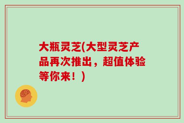 大瓶灵芝(大型灵芝产品再次推出,超值体验等你来!)-第1张图片-灵芝大师 大瓶灵芝(大型灵芝产品再次推出,超值体验等你来!)-第1张图片-灵芝大师