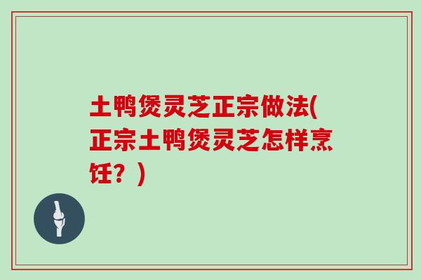 土鸭煲灵芝正宗做法(正宗土鸭煲灵芝怎样烹饪？)