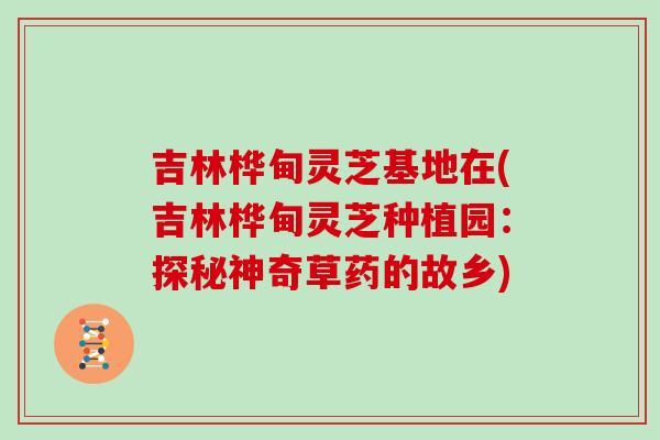吉林桦甸灵芝基地在(吉林桦甸灵芝种植园:探秘神奇草药的故乡)-第1张图片-灵芝大师 吉林桦甸灵芝基地在(吉林桦甸灵芝种植园:探秘神奇草药的故乡)-第1张图片-灵芝大师