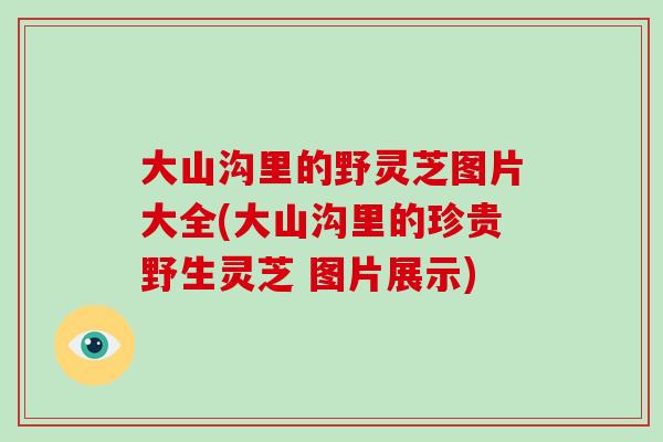 大山沟里的野灵芝图片大全(大山沟里的珍贵野生灵芝 图片展示)
