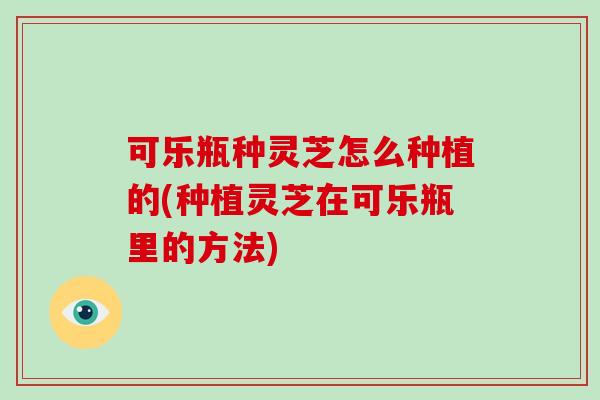 可乐瓶种灵芝怎么种植的(种植灵芝在可乐瓶里的方法)