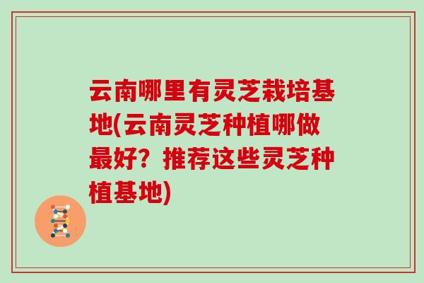 云南哪里有灵芝栽培基地(云南灵芝种植哪做最好？推荐这些灵芝种植基地)