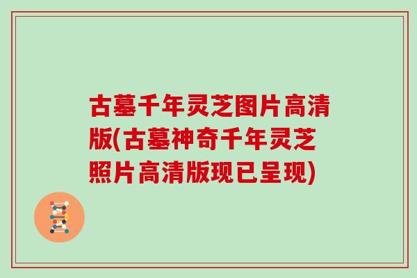 古墓千年灵芝图片高清版(古墓神奇千年灵芝照片高清版现已呈现)