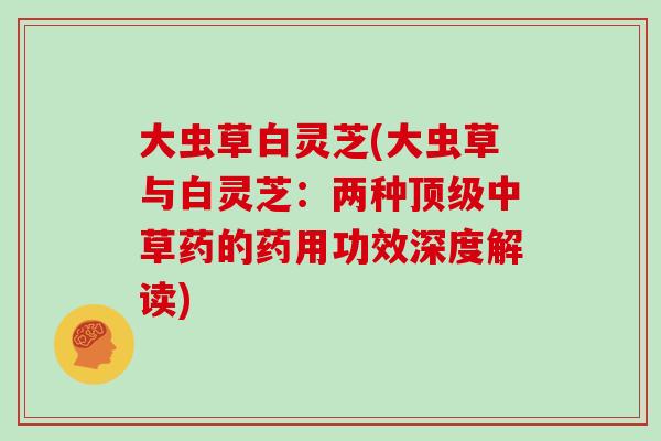 大虫草白灵芝(大虫草与白灵芝:两种顶级中草药的药用功效深度解读)-第1张图片-灵芝大师 大虫草白灵芝(大虫草与白灵芝:两种顶级中草药的药用功效深度解读)-第1张图片-灵芝大师