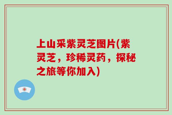 上山采紫灵芝图片(紫灵芝，珍稀灵药，探秘之旅等你加入)