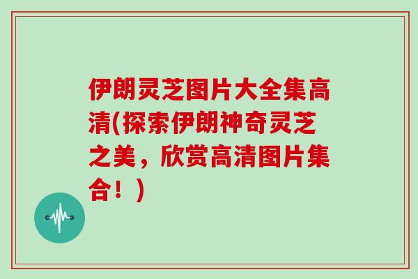 伊朗灵芝图片大全集高清(探索伊朗神奇灵芝之美，欣赏高清图片集合！)