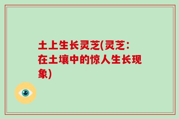 土上生长灵芝(灵芝:在土壤中的惊人生长现象)-第1张图片-灵芝大师 土上生长灵芝(灵芝:在土壤中的惊人生长现象)-第1张图片-灵芝大师