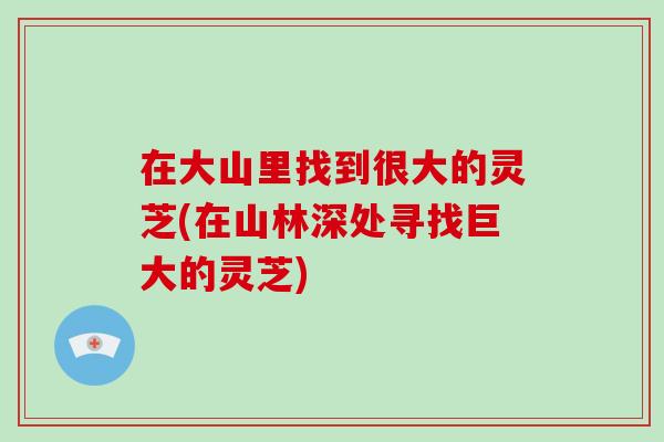 在大山里找到很大的灵芝(在山林深处寻找巨大的灵芝)-第1张图片-灵芝大师 在大山里找到很大的灵芝(在山林深处寻找巨大的灵芝)-第1张图片-灵芝大师