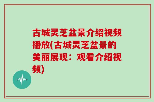 古城灵芝盆景介绍视频播放(古城灵芝盆景的美丽展现：观看介绍视频)