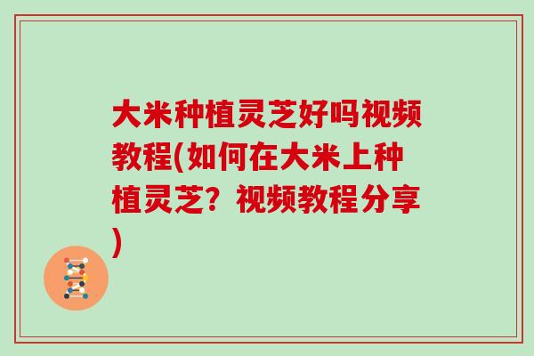 大米种植灵芝好吗视频教程(如何在大米上种植灵芝?视频教程分享)-第1张图片-灵芝大师 大米种植灵芝好吗视频教程(如何在大米上种植灵芝?视频教程分享)-第1张图片-灵芝大师