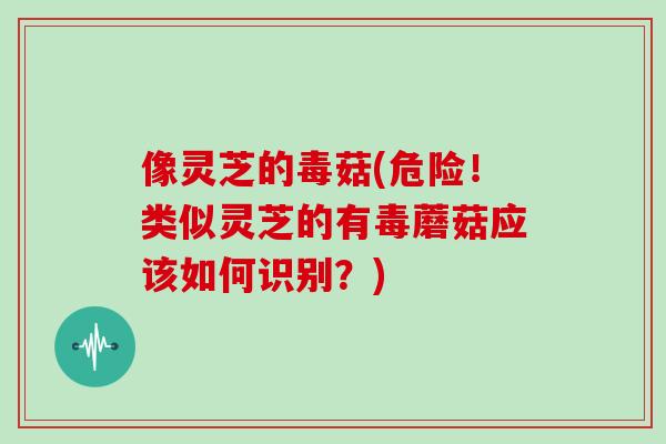 像灵芝的毒菇(危险!类似灵芝的有毒蘑菇应该如何识别?)-第1张图片-灵芝大师 像灵芝的毒菇(危险!类似灵芝的有毒蘑菇应该如何识别?)-第1张图片-灵芝大师