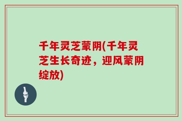 千年灵芝蒙阴(千年灵芝生长奇迹，迎风蒙阴绽放)
