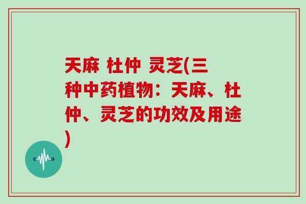 天麻 杜仲 灵芝(三种中药植物:天麻、杜仲、灵芝的功效及用途)-第1张图片-灵芝大师 天麻 杜仲 灵芝(三种中药植物:天麻、杜仲、灵芝的功效及用途)-第1张图片-灵芝大师