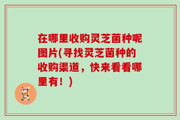 在哪里收购灵芝菌种呢图片(寻找灵芝菌种的收购渠道，快来看看哪里有！)-第1张图片-灵芝大师