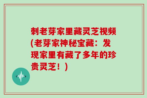 刺老芽家里藏灵芝视频(老芽家神秘宝藏：发现家里有藏了多年的珍贵灵芝！)